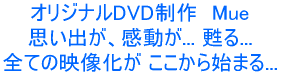 IWiDVD@Mue voA... S... SẲf n܂... 