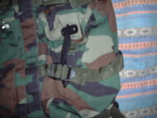 �y�b�g�{�g������