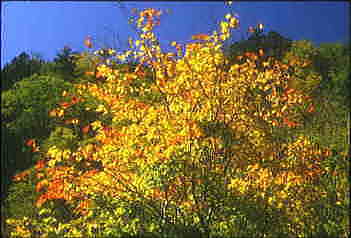 �e�V���U���R�E���E