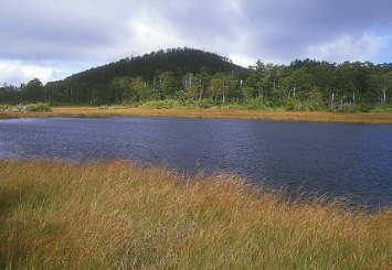 �N�T�R�E���E�m�L�k�k�}