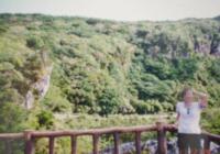 やんばるの山
