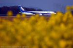 All Nippon Airways B767-300  March,2007