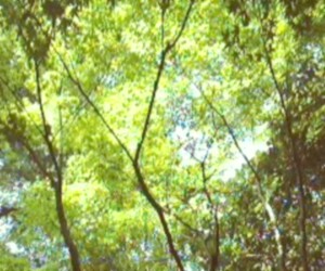 ̂Ax낤ItėII