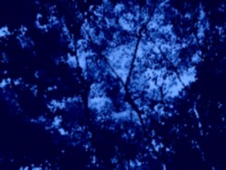 xbh𔲂oāAl͖`ɏoB