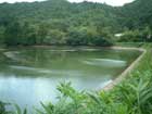 青野ダム周辺の野池