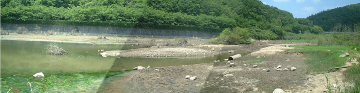 青野ダムのポイント【青野川：減水】