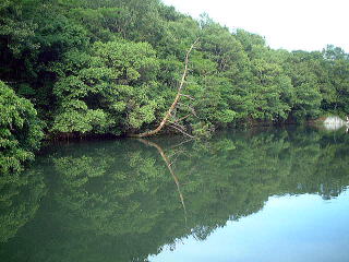 兵庫県 加西の野池1（画像）