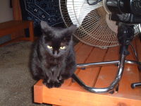 �R�z�̍��j�����R��