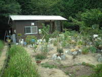 ��H���̏����́H