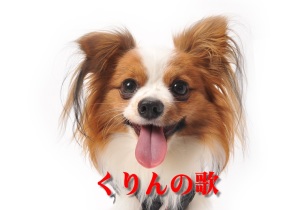 ̉