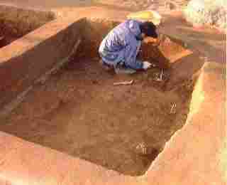 �������