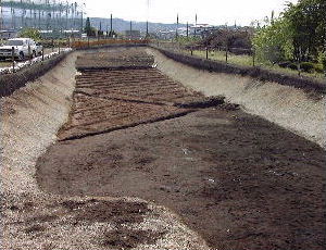 �T�� FA���S�i