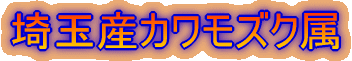 ʎYJYN