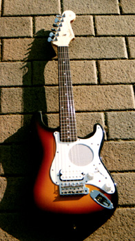 Fender chanpion 10 -1996