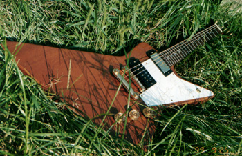 Gibson explorer.nat