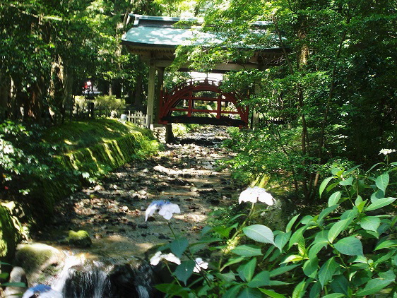 玉の橋