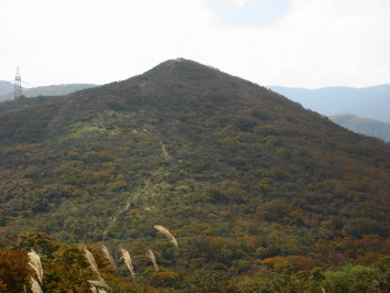 赤阪山