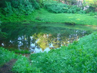 妖精の池