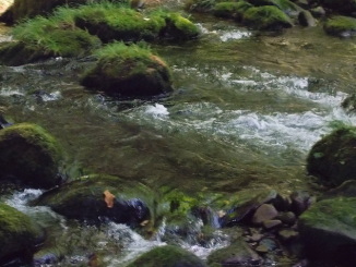 滝-3