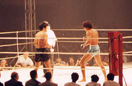 �Ō��̒r�{���AV�N���X�̒߉����H