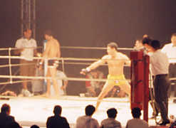 �h�����m���A�Q��I