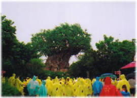 The Tree of Lifeƃ|`l