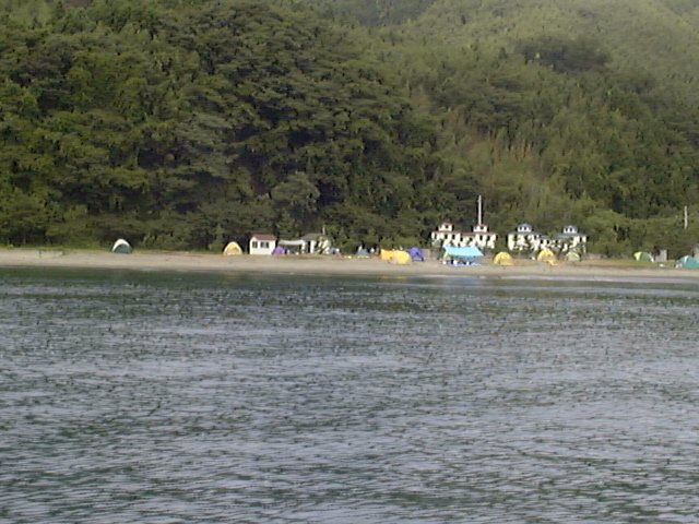 YLv