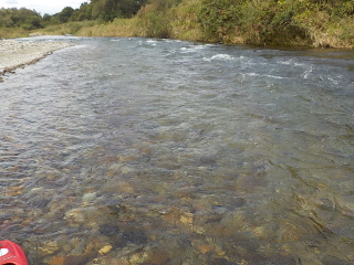 那珂川橋上流の流れ