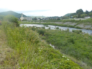 武茂川