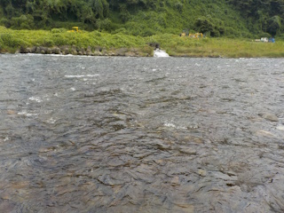 対岸