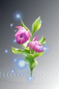 �����葐