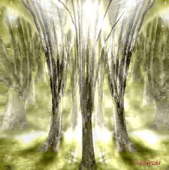 C:\My Documents\watayuki\t-1.JPG