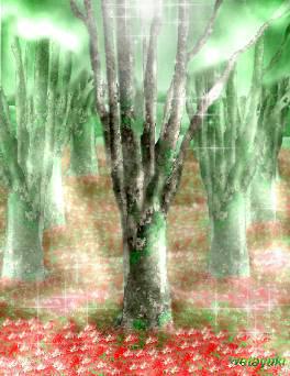 C:\My Documents\watayuki\t-16.JPG