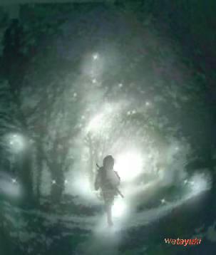 C:\My Documents\watayuki\t-6.JPG