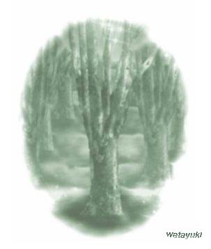 C:\My Documents\watayuki\t-7.JPG