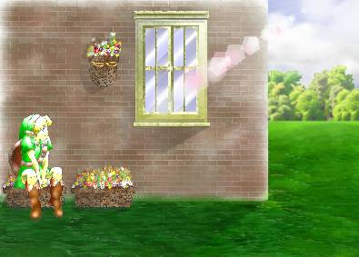 C:\My Documents\watayuki\zelda22.JPG