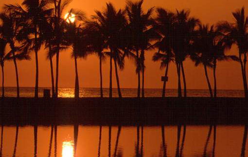 hawaii-waikiki-night.jpg