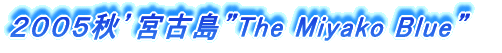 QOOTHf{ÓhThe Miyako Blueh 