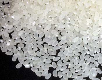 新米魚沼産コシヒカリ米粒