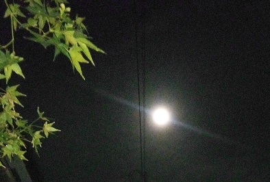 lŌグĂ閞ł