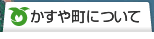 ⒬ɂ