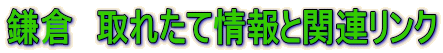 鎌倉　取れたて情報と関連リンク 