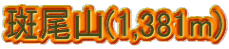 R(1,381m)