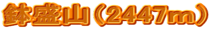 Ri2447j