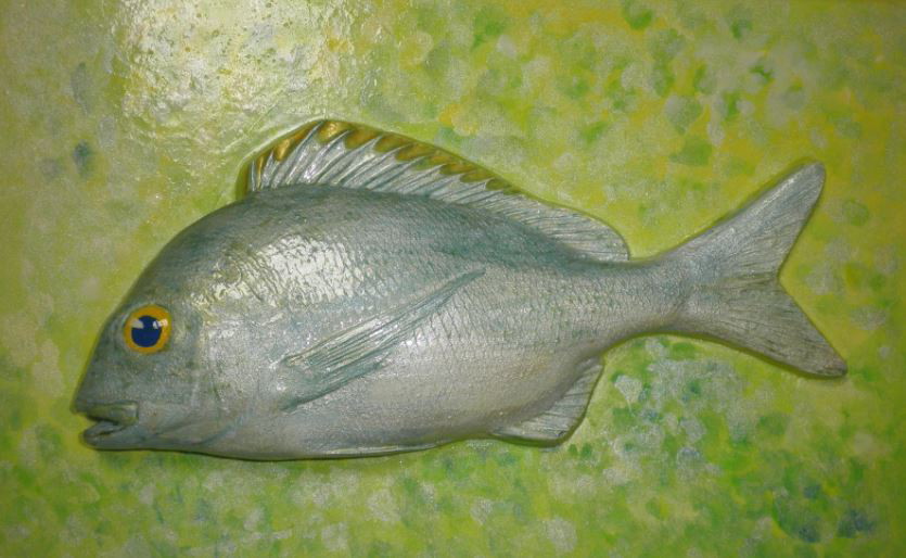 魚の立体ぬりえ 5