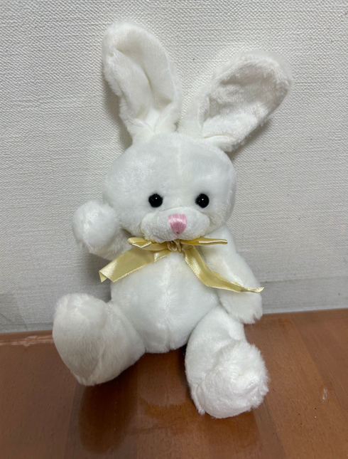 whiteBunny