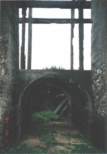 ジィチャンのトンネルはジャングル状態