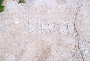 ペムチ浜のサンゴの文字
