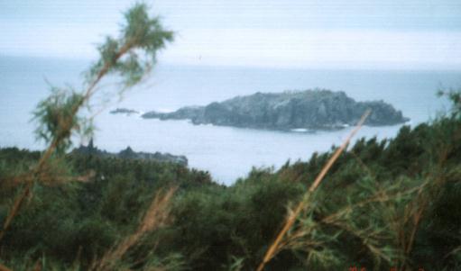マボロシの、中之島・東京湾
