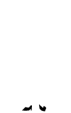 ӂ